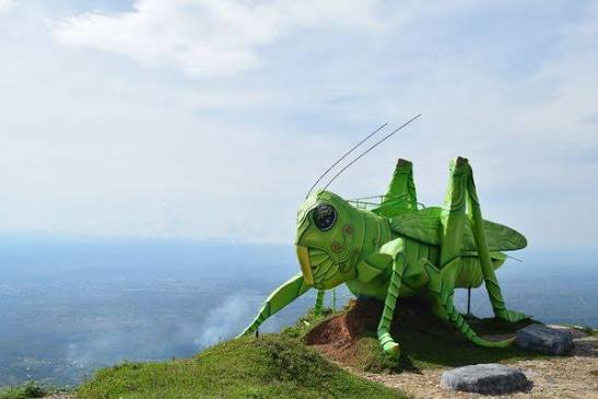 MIRADOR MONTAÑA MAGICA DEL CHAPURO NEIVA