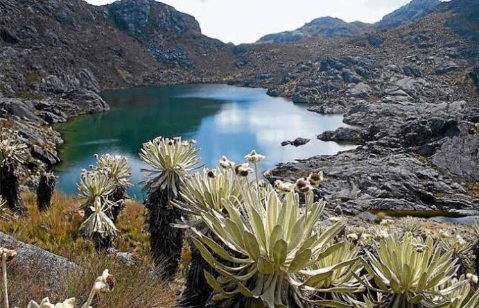 RUTA ARTESANAL DEL HUILA – MACIZO COLOMBIANO