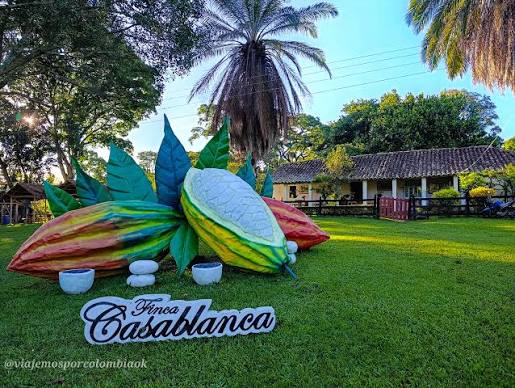 PASADIA RUTA DEL CACAO GIGANTE