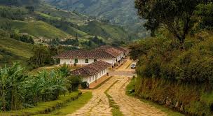 RUTA MAGICA DEL CAFÉ Y TIERRA DE GIGANTES